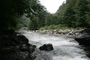 waterfall in the forest