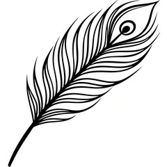 A stylized feather vector illustration featuring a decorative bird quill drawing