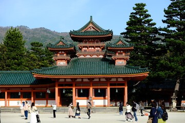 日本、京都、平安神宮、神苑、桜、花、庭園、春、歷史名勝、綠色、風景、青空、春、写真素材	

