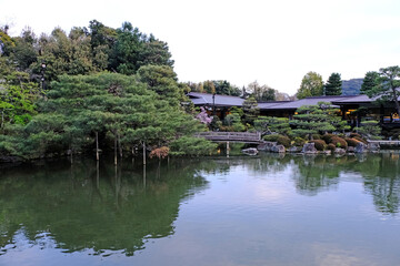 Fototapeta premium 日本、京都、平安神宮、神苑、桜、花、庭園、春、歷史名勝、綠色、風景、青空、春、写真素材 