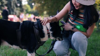 Owner strokes dog with hand, outdoors. Closeup dog sitting next its owner. Concept human animal friendship. Asian woman stroking dog in park. Dog get caress from owner. Owner loves pet.