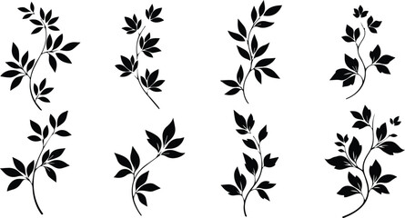 Fototapeta premium set of decorative leaf branches isolated on white background, botanical vector illustration for design, nature and floral elements