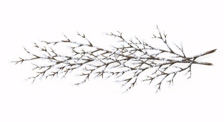 Obraz premium Winter Snow-Dusted Bare Branches Watercolor Illustration