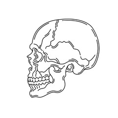 Human skull. Medicine. Body part.Line art isolated icon symbol.Drawing vector illustration.