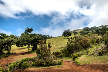 Scenic Vista Over Fanal Hills