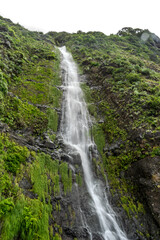Terraced Farmland in Lush Madeira Valley