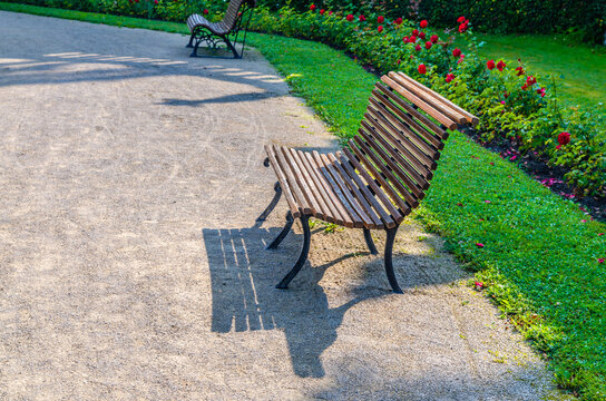 Wooden bench in park gardens with green lawn and flowers in sunny summer day