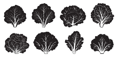 Obraz premium Black Lettuce Icon Collection for Cooking Projects. Salad Ingredient Lettuce Outline and Solid Icons.