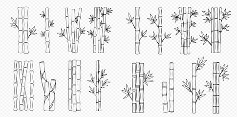 Collection of sketched bamboo stalks and leaves in various arrangements, black and white.