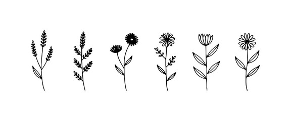Minimal Field Bloom Set. A clean and simple lineup of field flowers with fine stems, soft petals, and light botanical details.