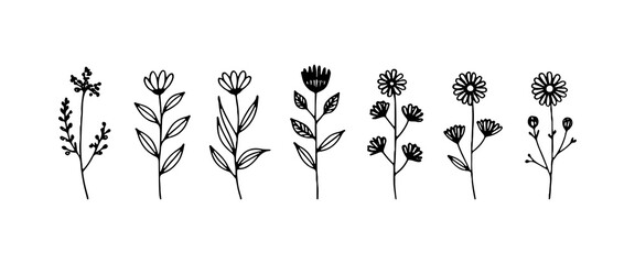 Decorative Garden Floral Lineup. A well-arranged set of botanical illustrations featuring lush blooms, textured petals, and fine stems.