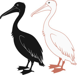 Black Silhouette and White Outline Pelican on Black Background