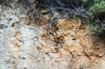 Unique texture of slope with earth roots and various stones background