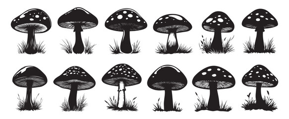 Mushroom Silhouette Vector Collection. Nature Fungi Vector Silhouette Designs.