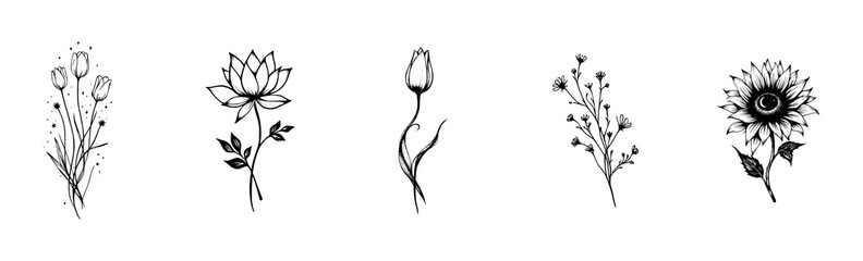 Fototapeta premium Minimalist Surreal Wildflower Graphic Vector Illustration Set