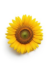 Fototapeta premium Foto Elemento amarelo