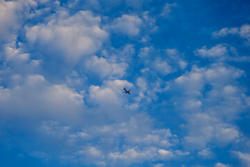 sky, 날기, 구름, 비행기, 대패, 버드, 날다, 도망, 공기, 갈매기, 여행, 항공기, 네이처, 태양, blue, 제트, 백, 자유, 높다, 날개, 실루엣, 일