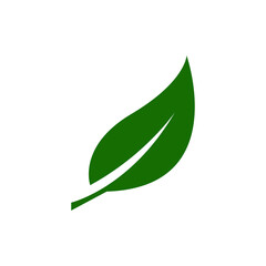 green leaf vector illustration
