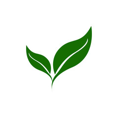 green leaf icon