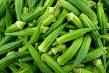 Obraz premium Ladies finger or okra Background