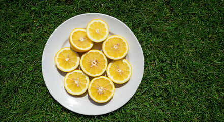 top view of sliced orange, lemon and grapefruit on white plate isolated on green
