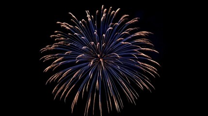 Colorful fireworks display against black background at night  