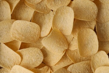 Homemade Flavored Paprika Potato Chips in a Bowl, top view. Flat lay