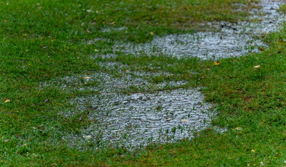 A puddle after the rain on the green grass.Rainy weather.Lack of proper drainage