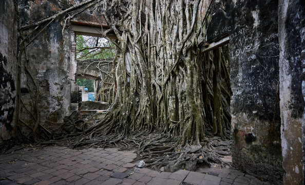 Casa de Hern&aacute;n Cortes en la Antigua Veracruz