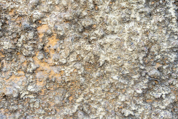 Old weathered wall texture, a perfect grunge background with cracks, bumps, and peeling paint.