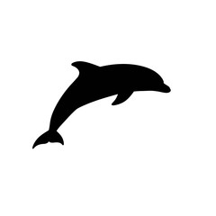 Vector illustration of a funny dolphin jumping fun on a white background