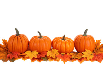 A row of four orange pumpkins sitting on a bed of colorful fall leaves on a black background backdrop