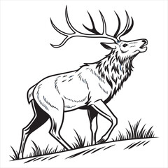ELK Vector 