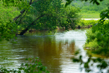 Obraz premium Bend in the Sugar River, with high water in springtime.