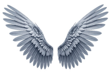 Fototapeta premium Majestic white feathered wings isolated on transparent background