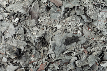 Burnt documents as a background, top view. Paper ash. Cinder.