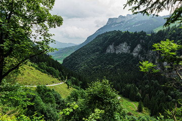 Scenic view of a lush green mountain valley with dense alpine forest and rocky cliffs, captured from a hiking trail near Seealpsee in the Appenzell Alps, Switzerland.