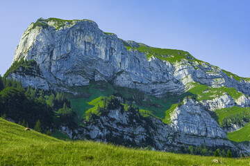 Majestic rocky slopes with green alpine meadows and evergreen trees near Seealpsee in Appenzell, Switzerland, under a clear blue summer sky, showcasing the natural beauty of the Swiss Alps.