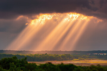 Golden Beams Shining from Morning Sky