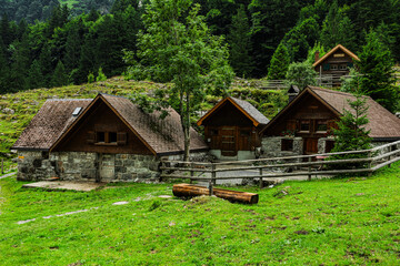 Obraz premium Traditional wooden and stone alpine houses set against a backdrop of lush forest and towering mountains near Seealpsee in the Appenzell Alps, Switzerland.