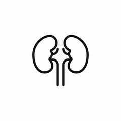 human kidneys organ icon sign vector