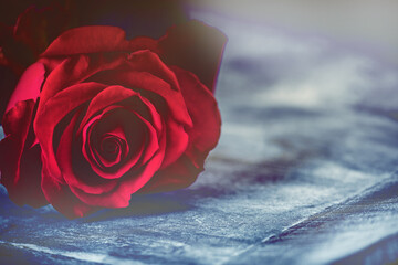 Einzelne Rose auf Holz Vintage mit Platz f&uuml;r Text
