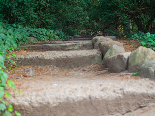 Stone path in the park