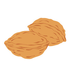 Walnut hand drawn simple vector illustration. Autumn nut natural harvest. Walnut isolated on white background.