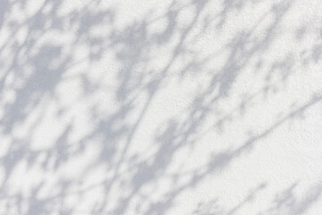 Natural shade from plants. The mesh lighting effects of the soft overlay are transparent on the white wall.