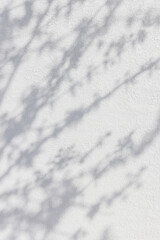 Natural shade from plants. The mesh lighting effects of the soft overlay are transparent on the white wall.