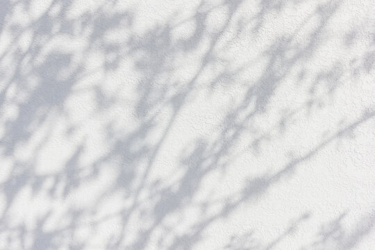Natural shade from plants. The mesh lighting effects of the soft overlay are transparent on the white wall. - Powered by Adobe