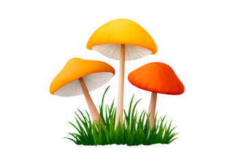 Vibrant leaf man with colorful mushroom hat in fantasy garden environment on transparent background, PNG