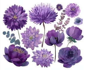 Obraz premium Vibrant Floral Artwork. Collection of Watercolor Purple Blooms in Lilac and Violet Shades