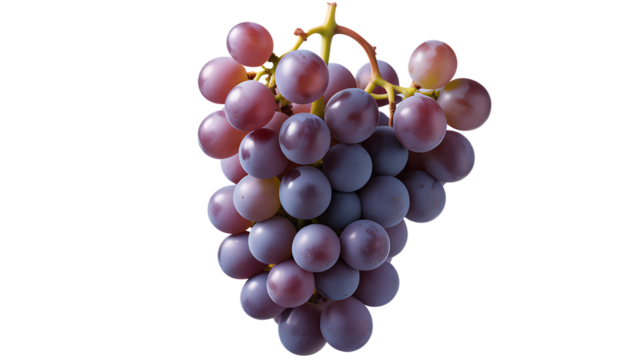 Purple Grape fruit, isolated on transparent background